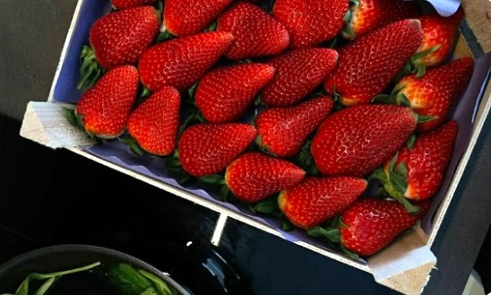 № 73 Хонгян-3 (Jing Yao-3)